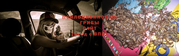 трава Баксан