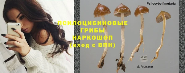 дмт Ступино