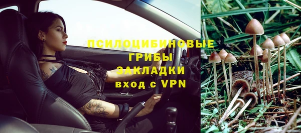 гашик Строитель